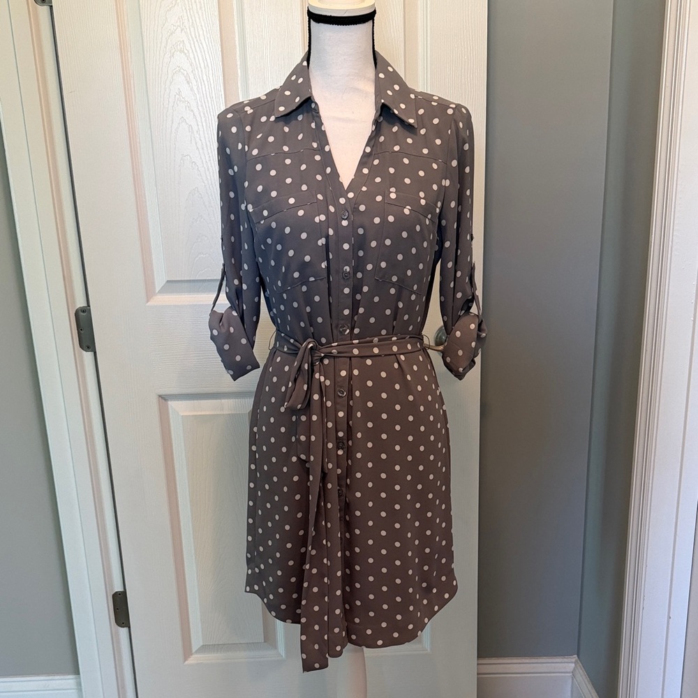Express Brown Polka Dot Mini Dress